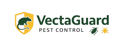 14da6509-bae1-473a-bd14-8f85d419f3cf_removalai_preview